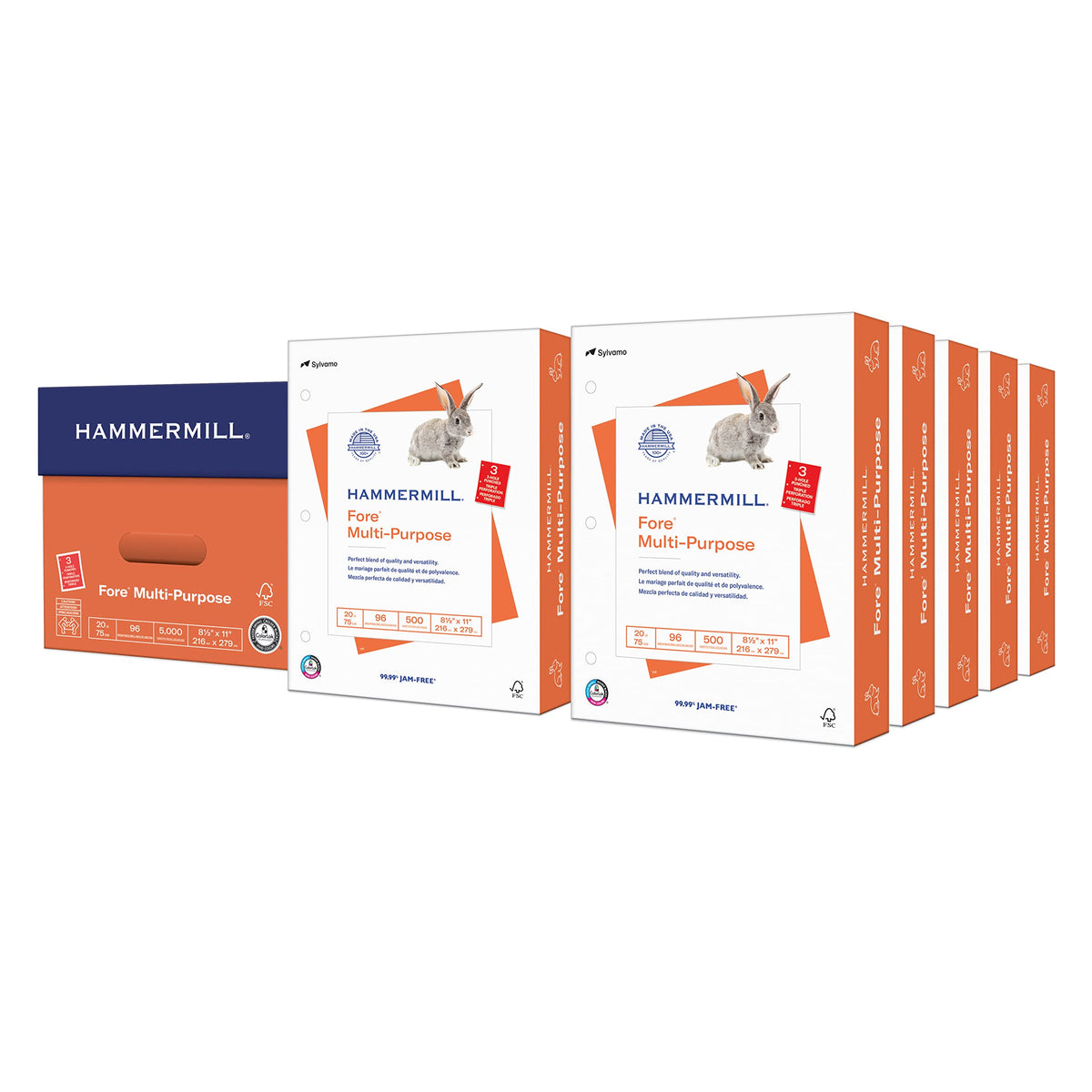 Hammermill Printer Paper, Fore Multipurpose 20 lb Copy Paper, 8.5 x 11-96 Bright, Made in the USA, 103267C (10 Ream, 5000 Sheets Total)